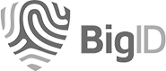 bigid logo